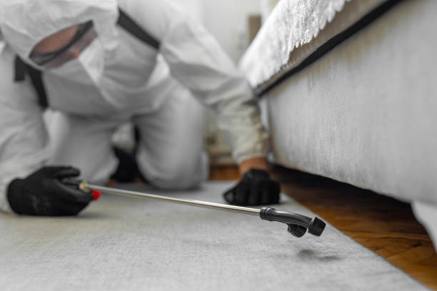 Professional Bed Bug Control technician working in Marshall County County, WV